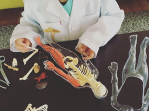 SmartLab Toys Squishy Human Body - vista detallada | Gogiks