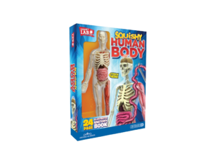 SmartLab Toys Squishy Human Body - Juguete STEAM educativo 8+ años | Gogiks Ecuador